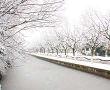 安徽省低温雨雪冰冻灾害应急预案